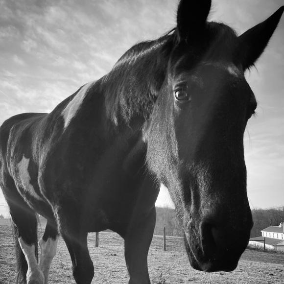 Meet your Posher, Jenny - Picture 12 of 17